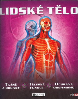 Lidské tělo