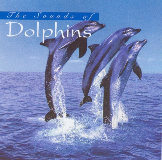 The Sound Of Dolphins